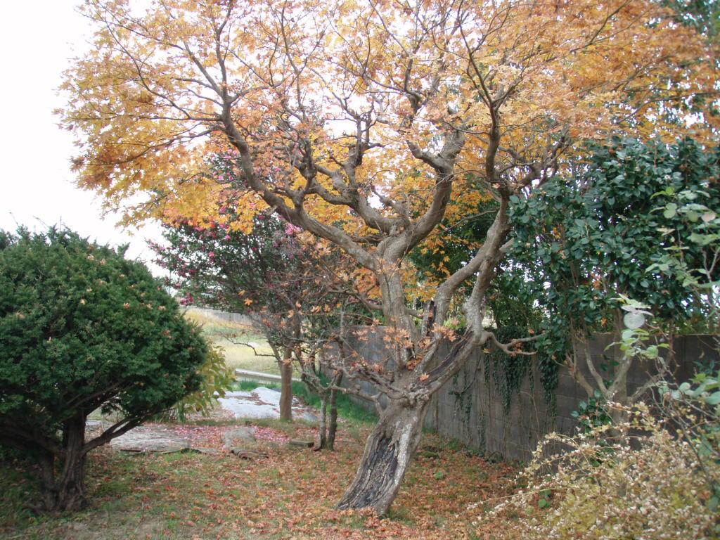 Guesthouse Hokkai Nanao Luaran gambar